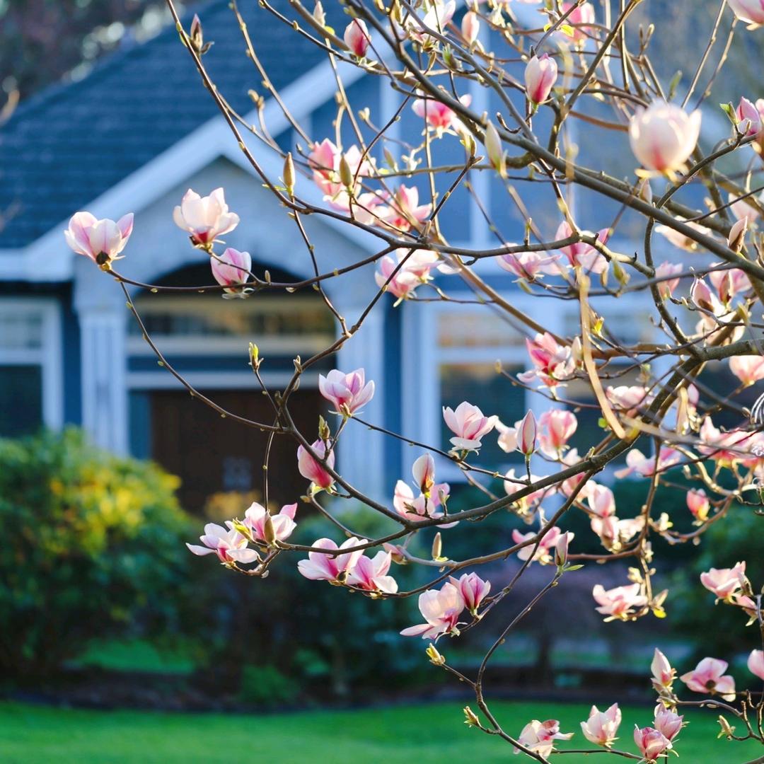 青州市东夏丽辉花生瓜子经销处