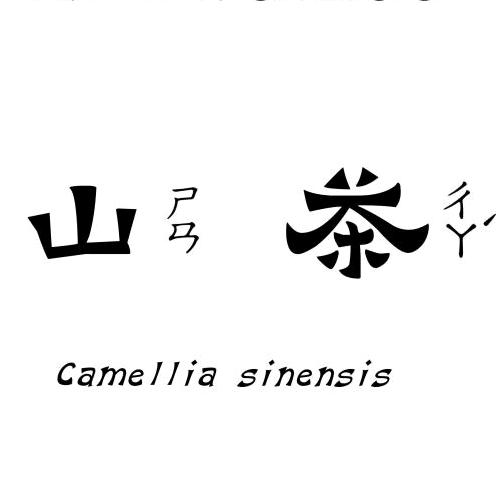 雅安市三石茶业有限公司