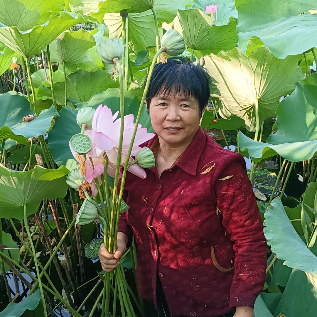 莲藕姐家乡特产