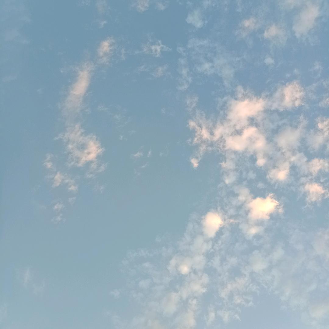好好学习