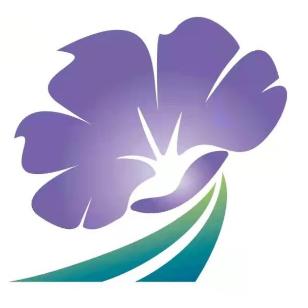 路达高速焦桐花