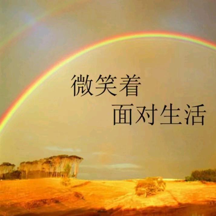 为爱安家，河南南阳