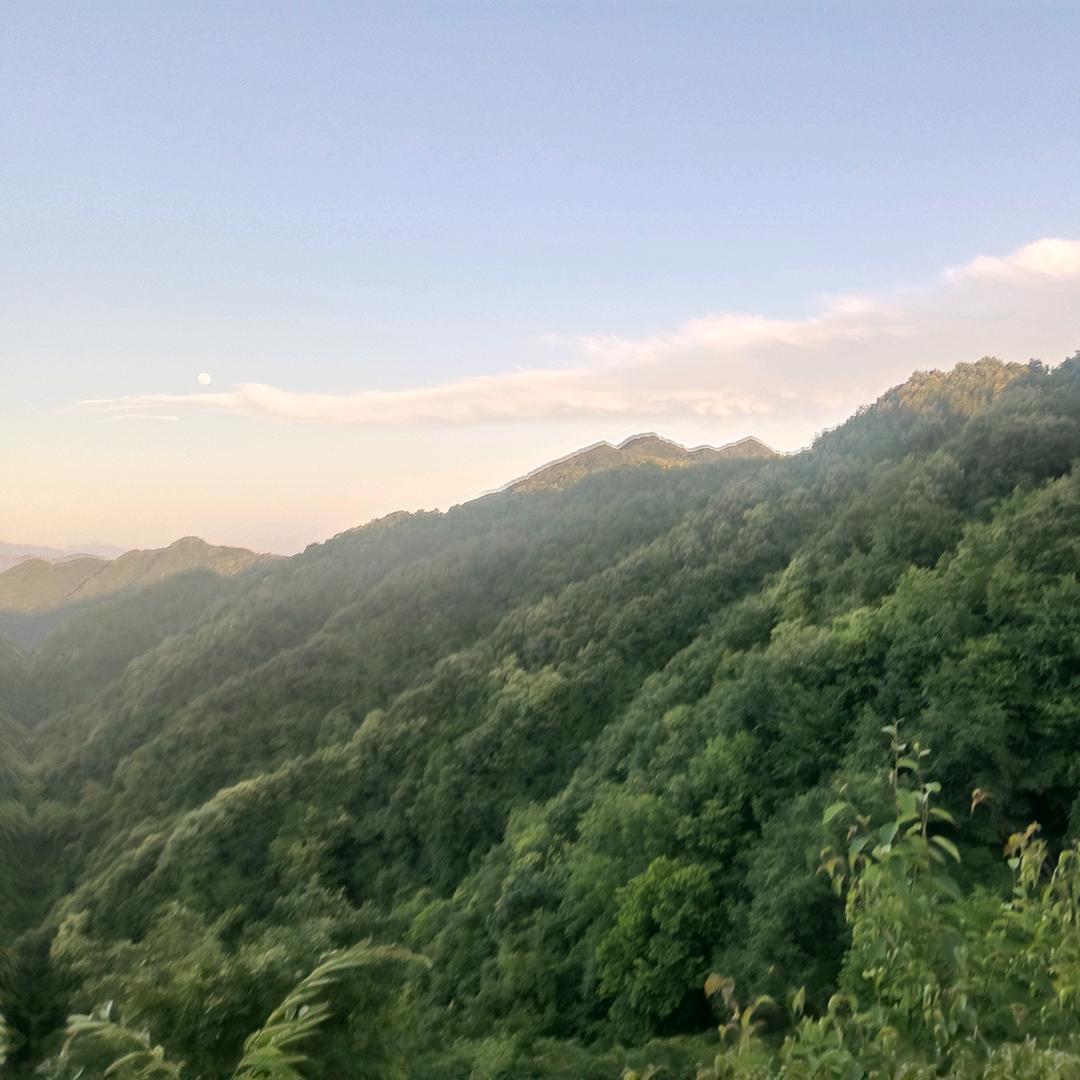 倾暖未、颜°墨染成画的年华