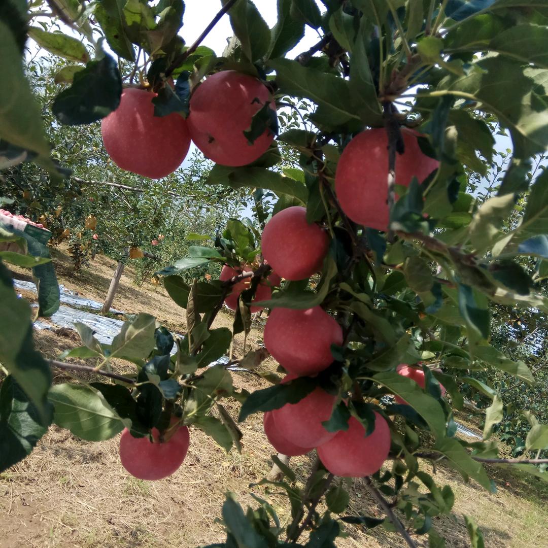 抖风  🇨🇳健康友爱，文明和谐👍