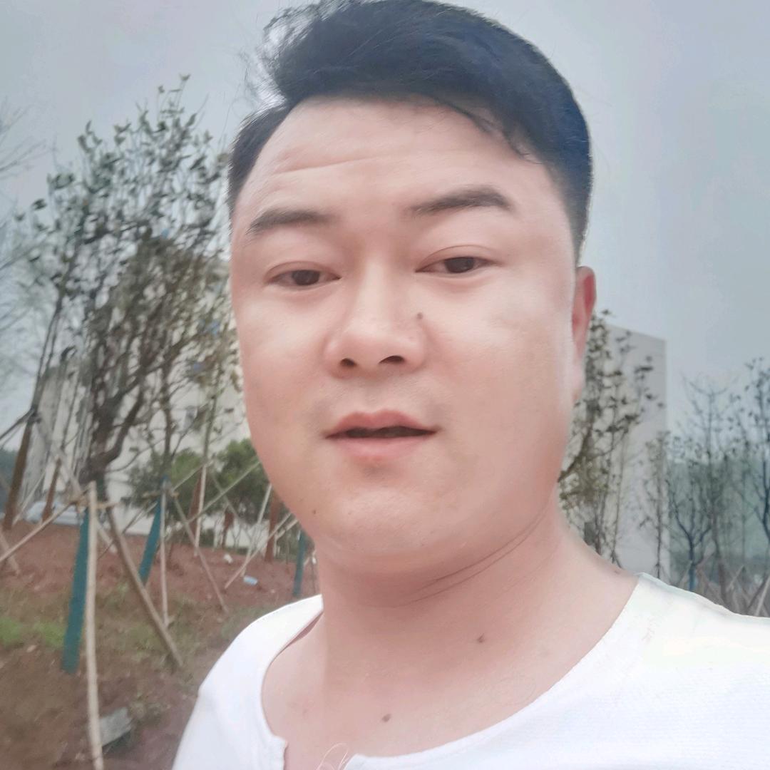 志哥二手车