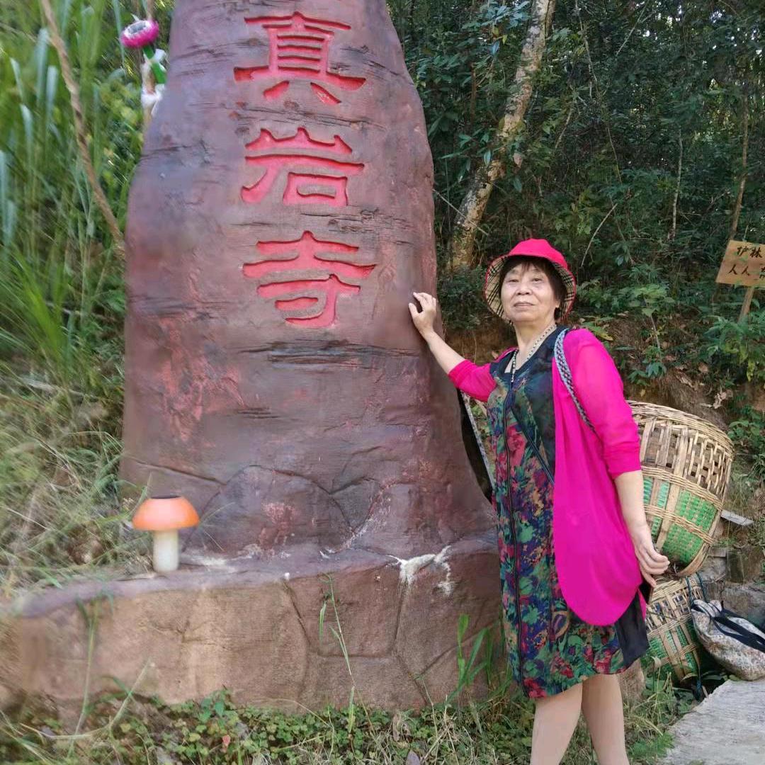 花花猪何昭英