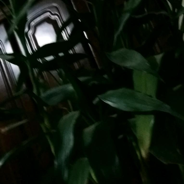 雨