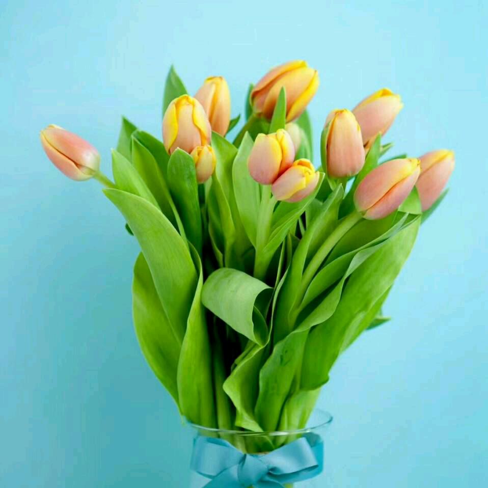 赵。财。进。宝。