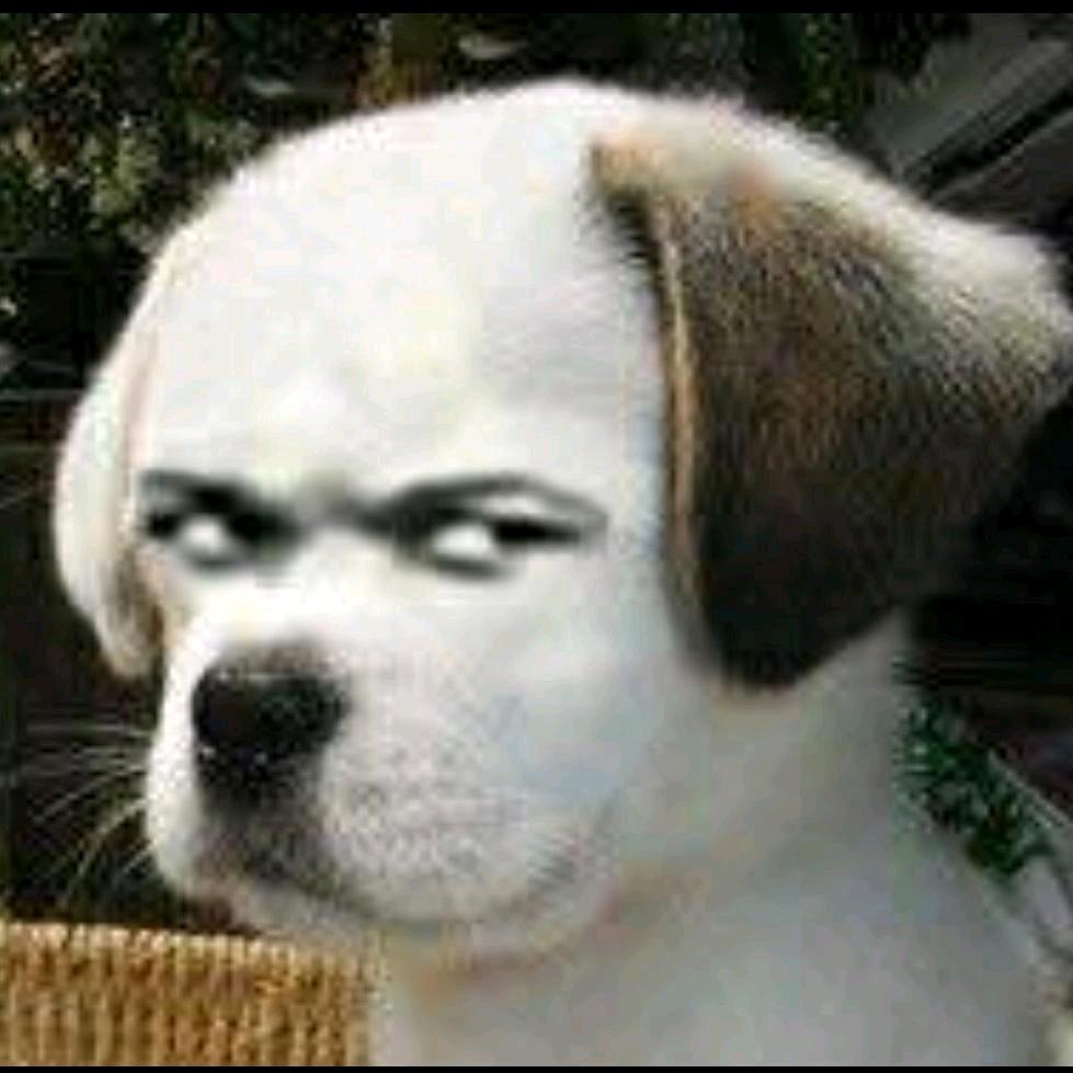 : 🌈 蚂 蚁 🐜 🌈 、 . .