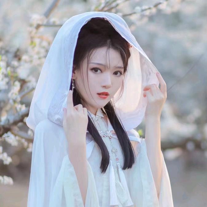 v猫猫打工记v
