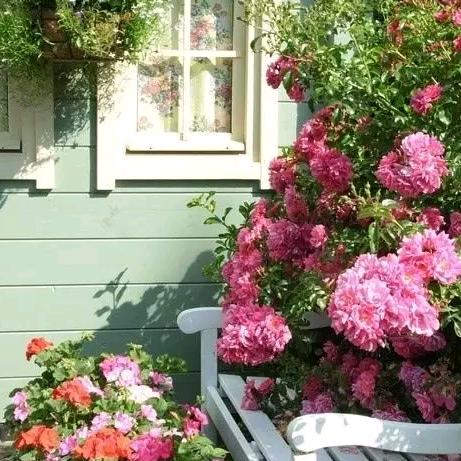 泥土的清香🍃🍃