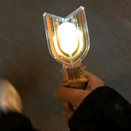 灯火欲阑珊头像