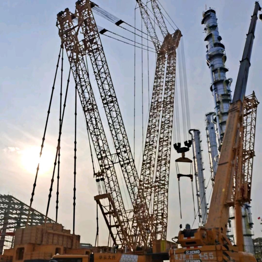 倒骑毛驴上北京