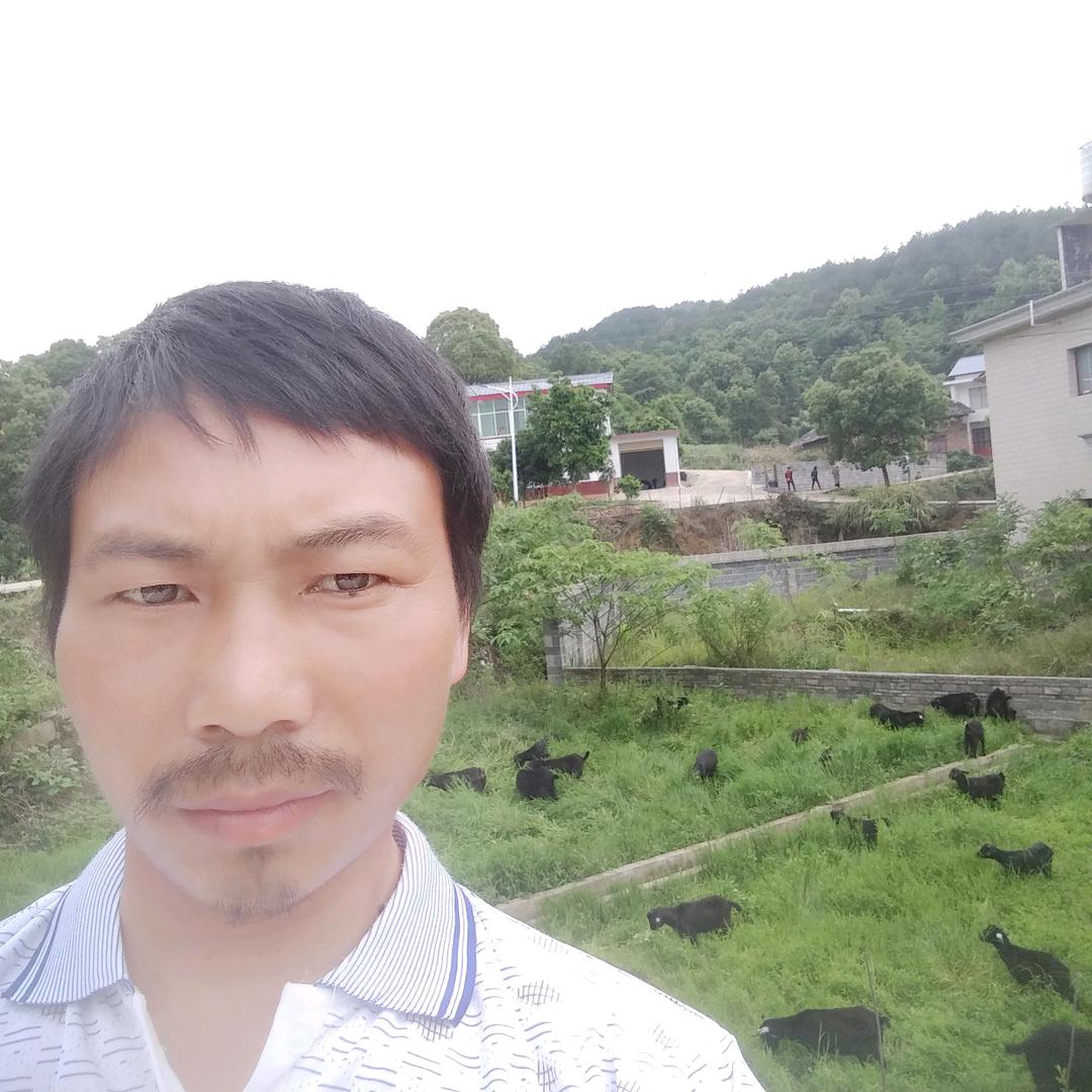 湘乡龙洞放羊人