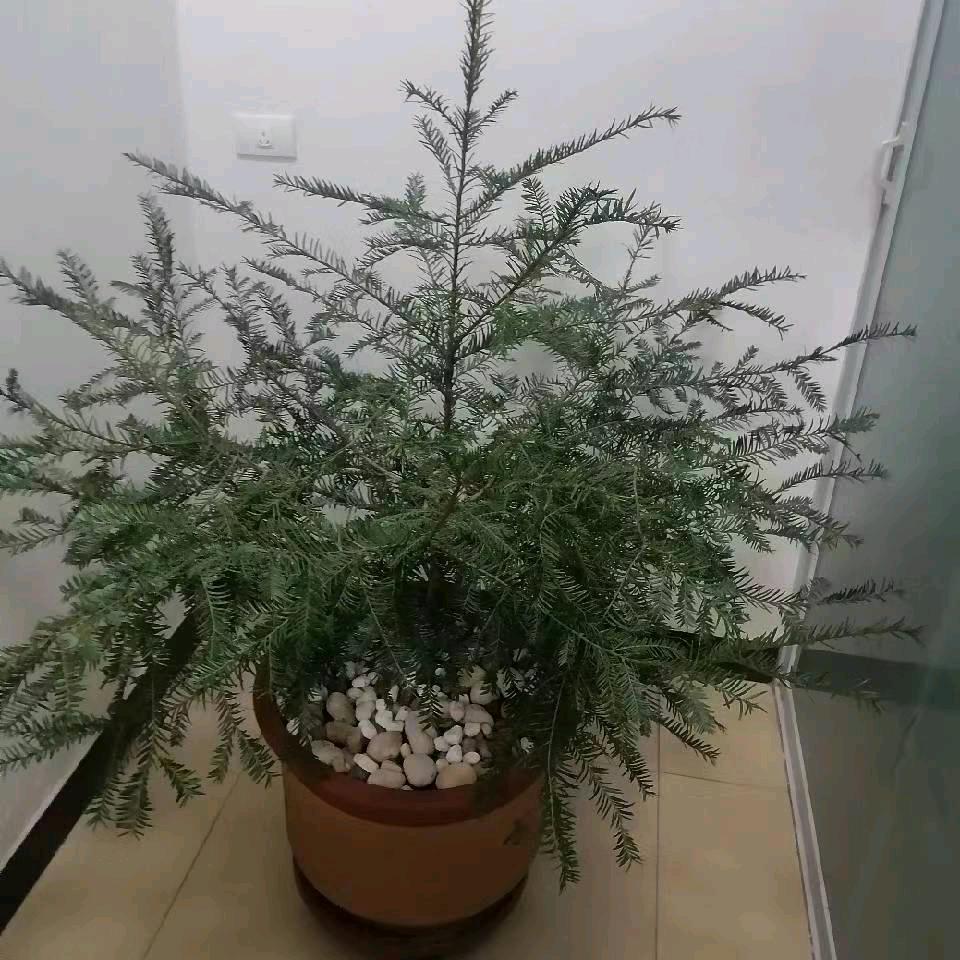 你好
