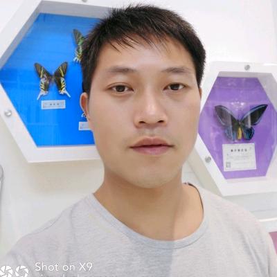 华仔爱情歌