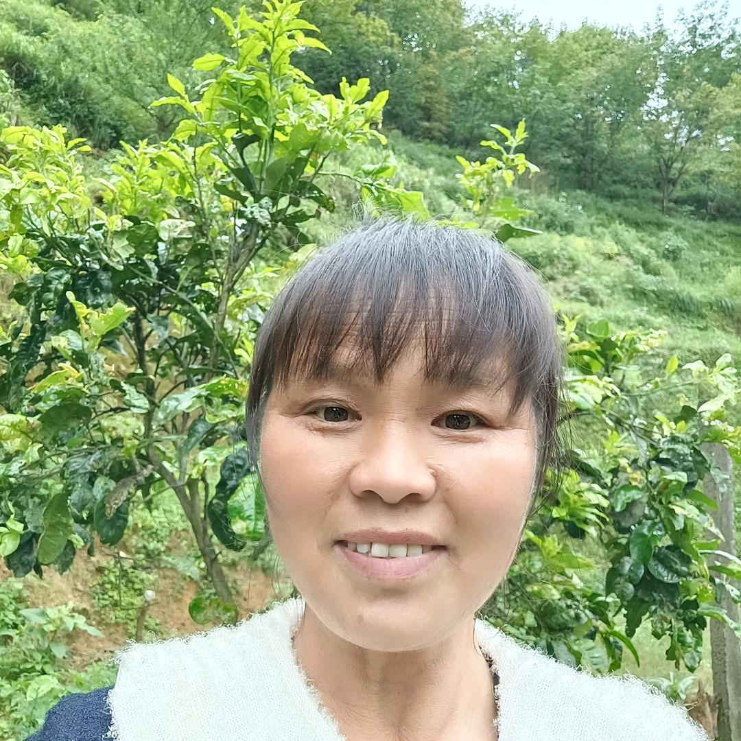 我是林