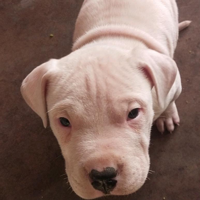 以后走好自己的路