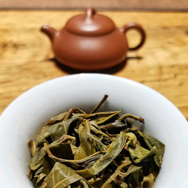 云上一丘田茶叶农民专业合作社