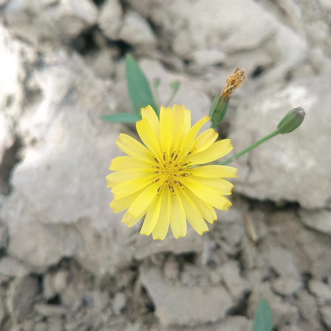 米粒儿（求关注）