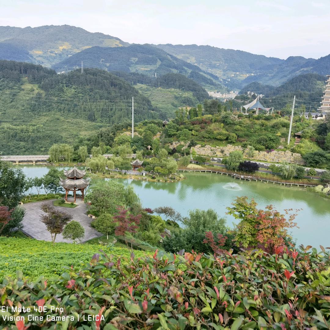 貴、仁、酒、乡：