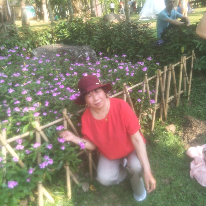 建康桃子
