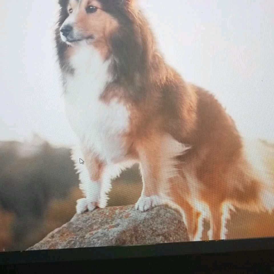 小凯子，张口就来