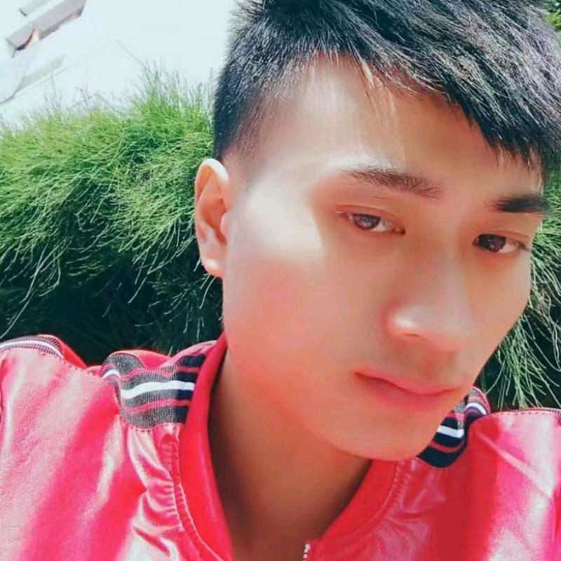 少年不懂叶子贵