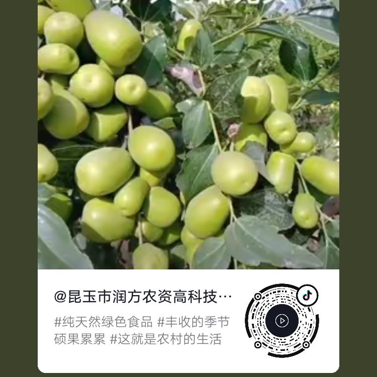 新彊昆玉市农资有限公司批发,大零售,新科