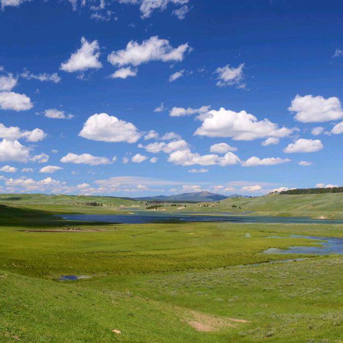 💞偏偏喜欢你💞