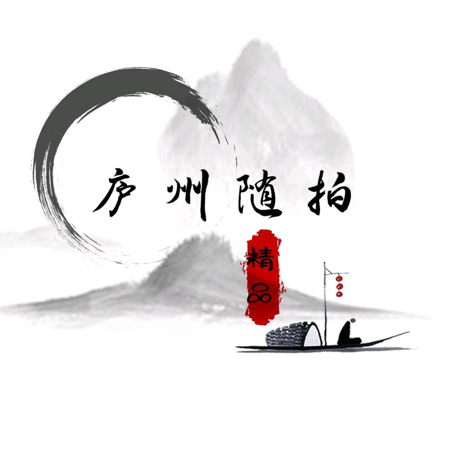 庐州随拍📷✈️