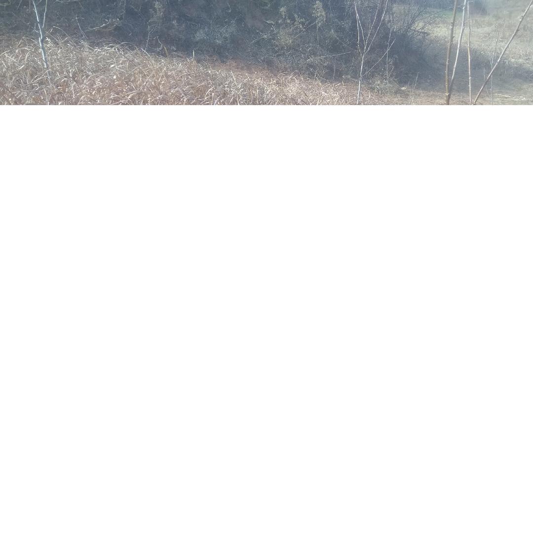 北汝河