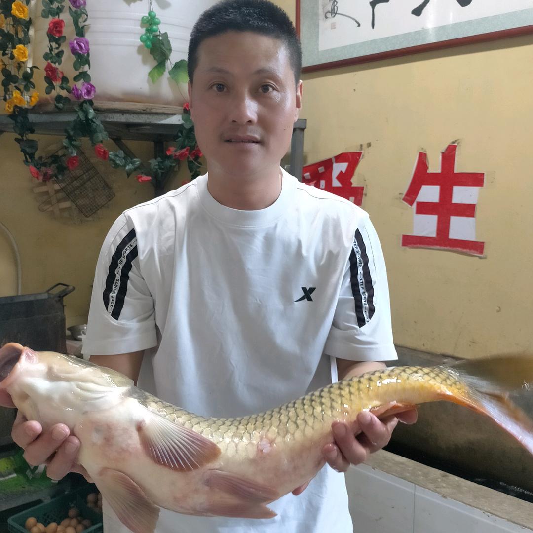 平度市仁兆镇大沽河鱼府