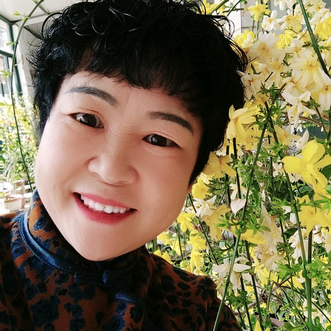 迎春花好物