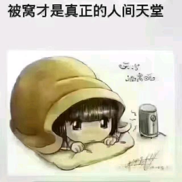 丫头（拒绝私聊）