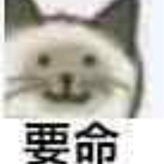 烦🫧
