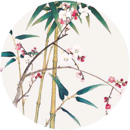 心悦诗雨