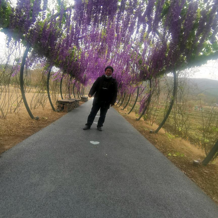 😀仰望星空😀