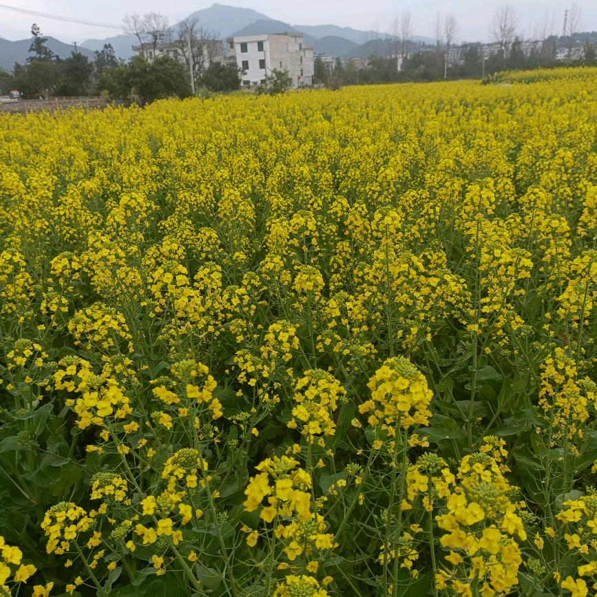 活成自己喜欢的样子