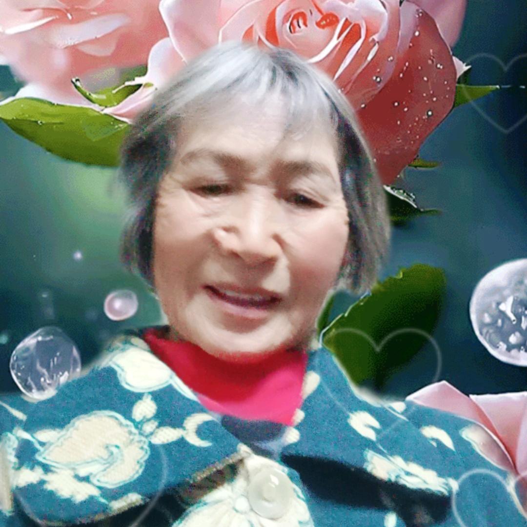 老谭