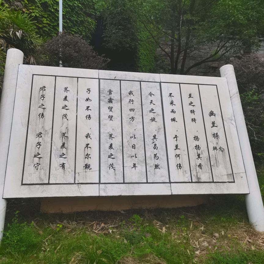 洋洋读诗词