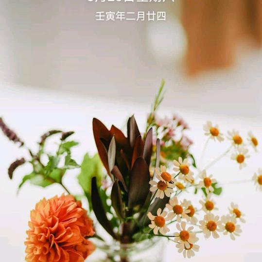 天涯知音
