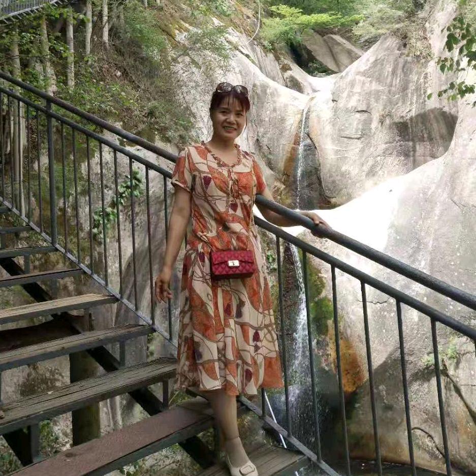 淡雅玫瑰（请勿连赞）