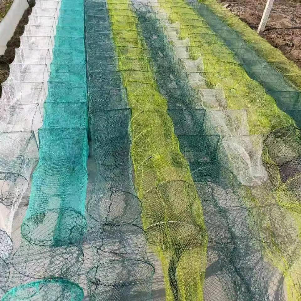 小张虾笼