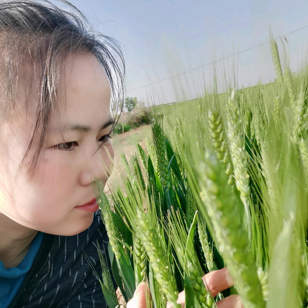 小吕在农村