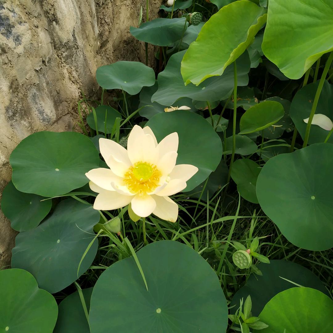 用户8630646116290错了吗？