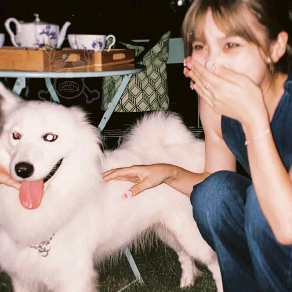 一点不温柔.🌶️