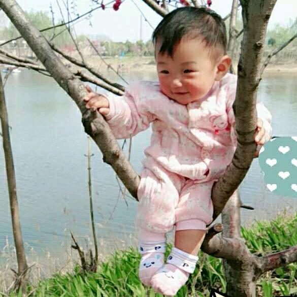 李梅
