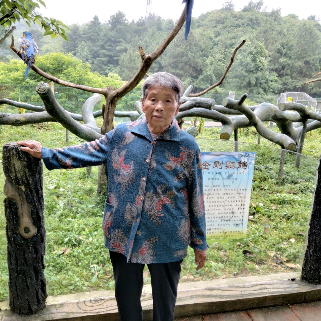 老来乐