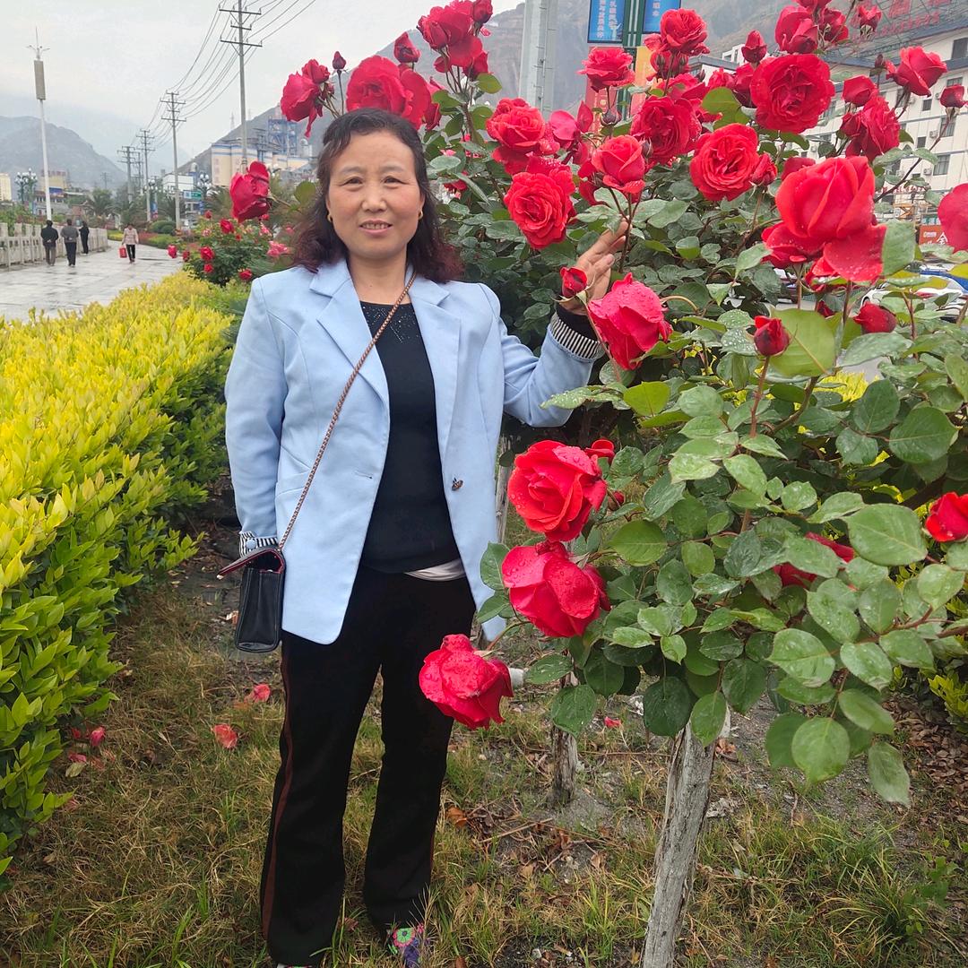 团团圆圆